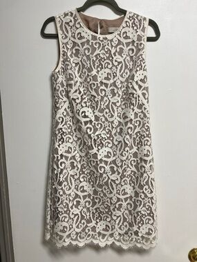 LOFT Cream Ivory Lace Scallop Trim Mini Dress Nude Lining Small 4